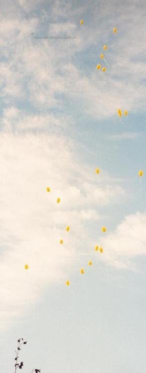 de opgelaten ballonnen stijgen op